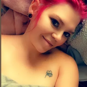 KOMs Kitten