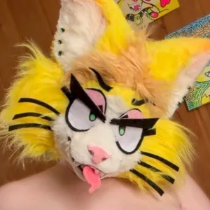 THE frisky feline