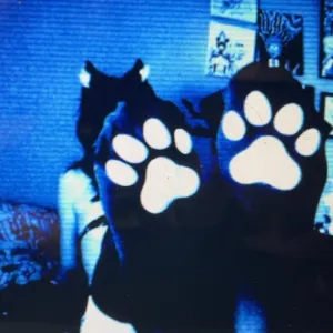 🐾 Raving kitty 🐾