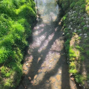 u140571670