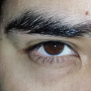 Elculodemexico