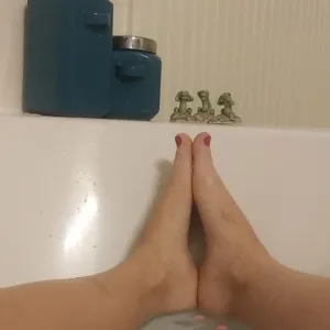 Licktheseclean