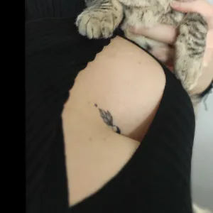 Dulce Gatita