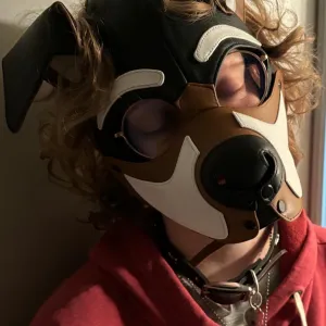 apollo 🐾 💕