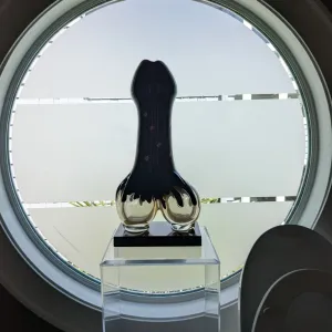 Naked Cook