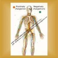 aromamassagelife
