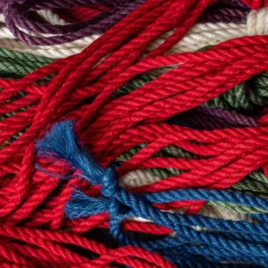 Texas Shibari