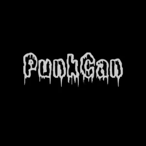 Punkcan