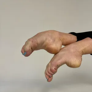 Swan Feet Fans